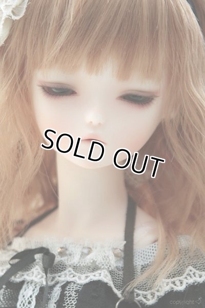 画像3: Premium Olive V. (3)