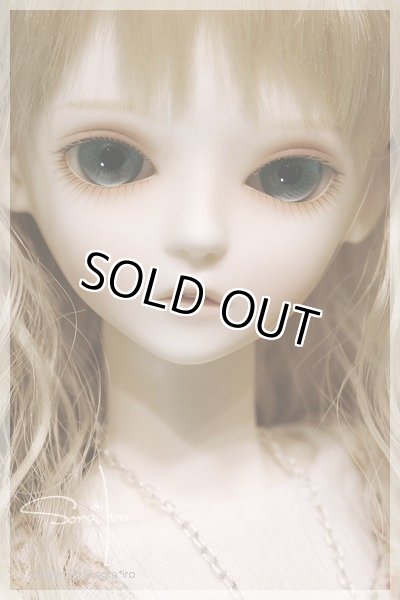 画像2: Forest Robin  (2)