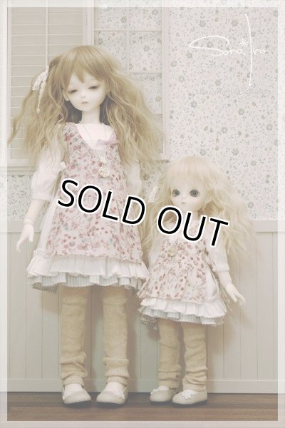 画像4:  Forest May V. (4)