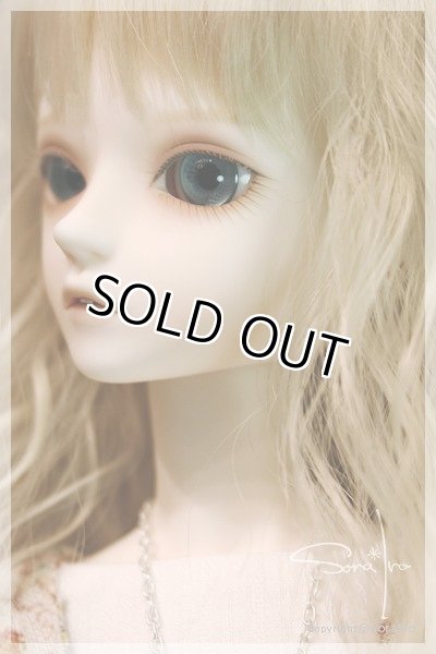 画像3: Forest Robin  (3)