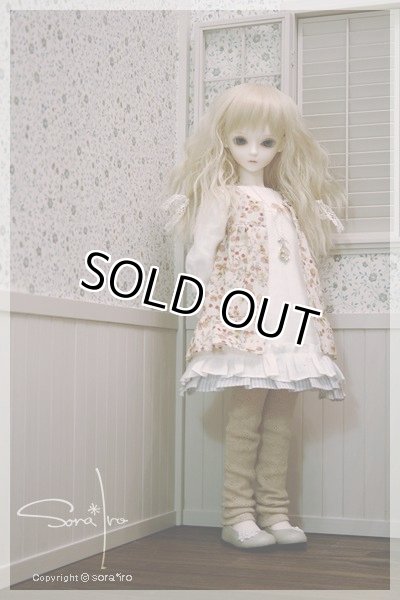 画像4: Forest Robin  (4)