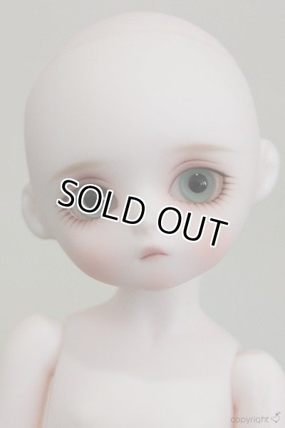 画像5: Sunshine Noma (5)