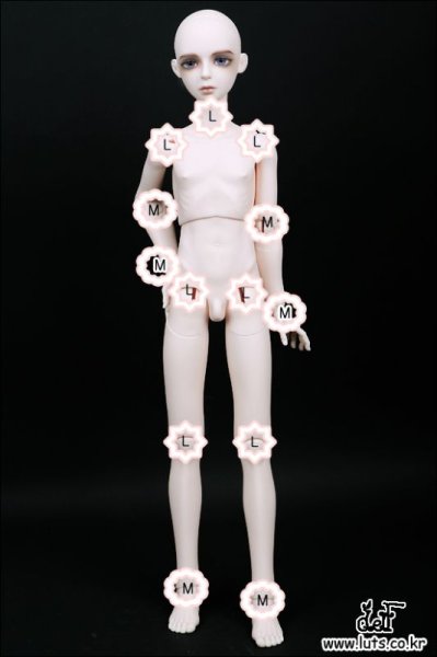 画像2: JOINT FIX PARTS (Size:M-6PCS) (2)