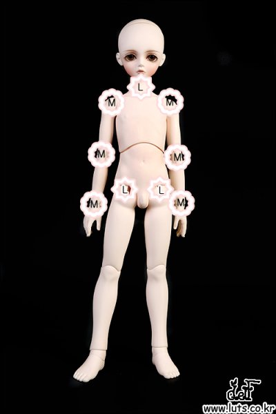 画像3: JOINT FIX PARTS (Size:M-6PCS) (3)