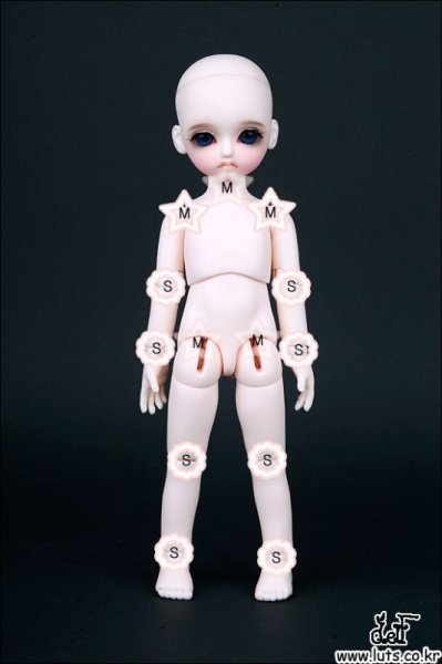 画像4: JOINT FIX PARTS (Size:M-6PCS) (4)