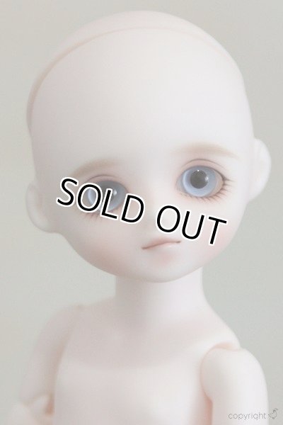 画像4: Sunshine choco (4)